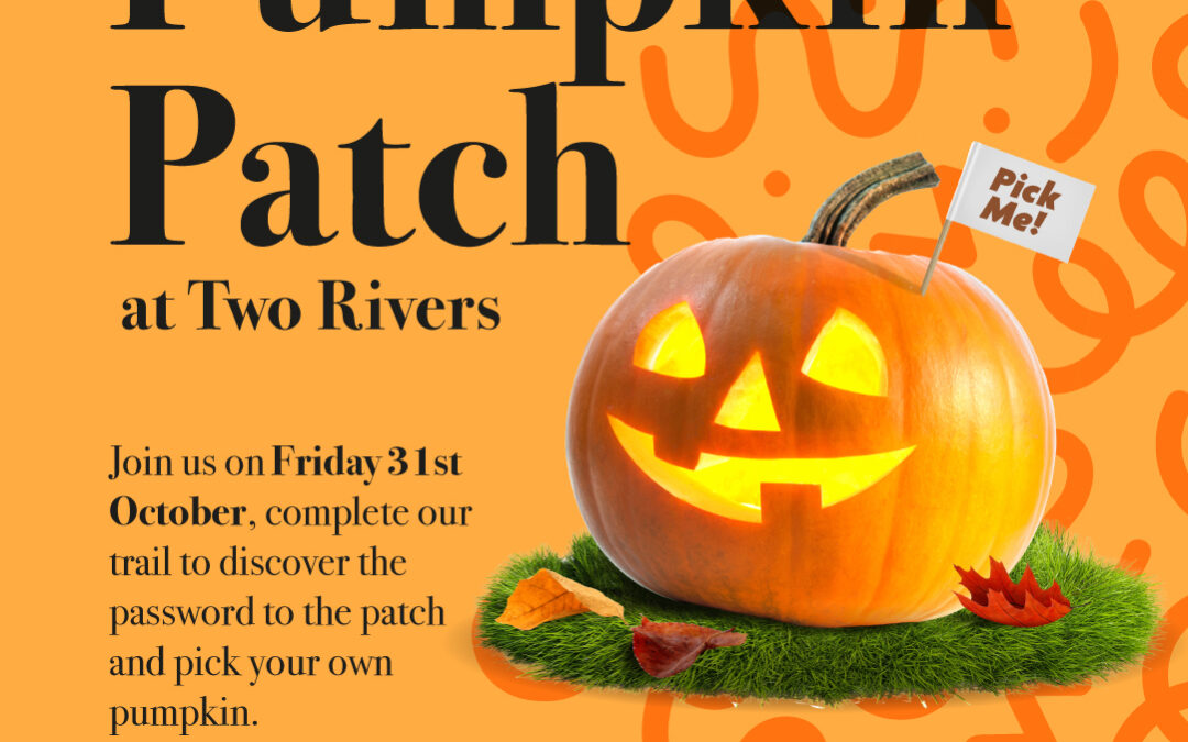 The Pumpkin Patch is back!