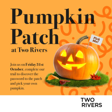 The Pumpkin Patch is back!