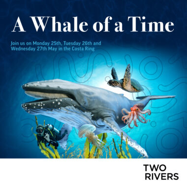 Whale of a Time